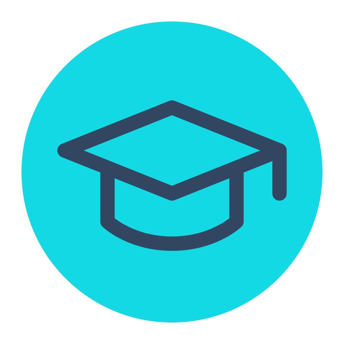 parakeet color style education icon