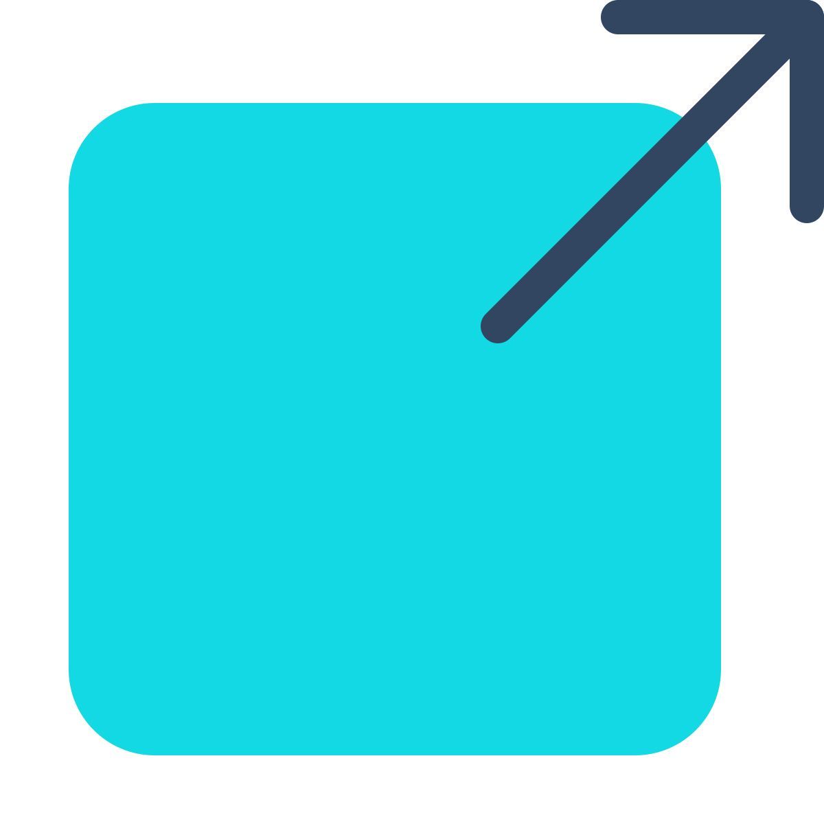 parakeet color style 外部链接 icon