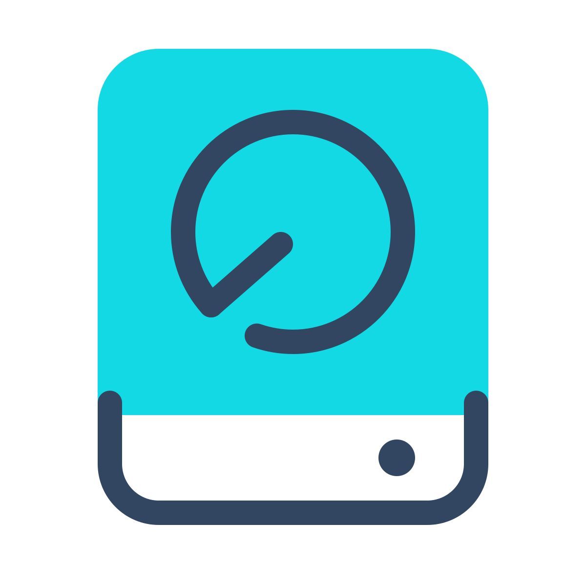 parakeet color style disco rigido icon