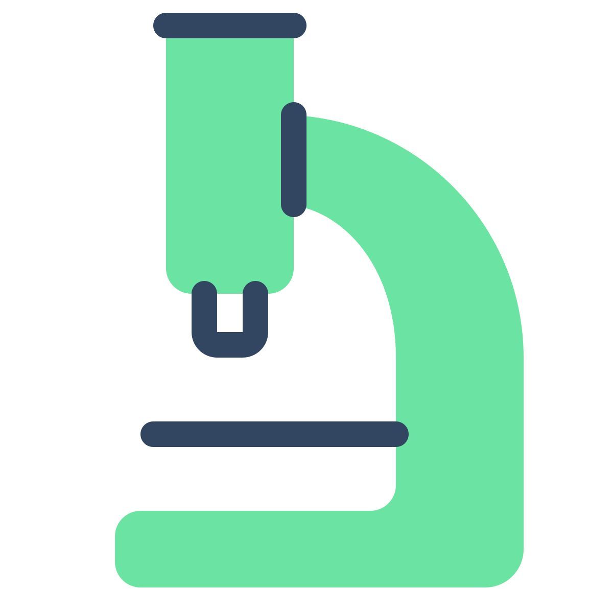 parakeet color style 현미경 icon