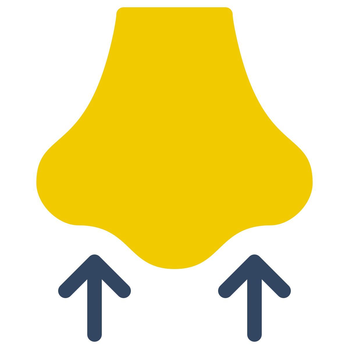 parakeet color style nariz icon