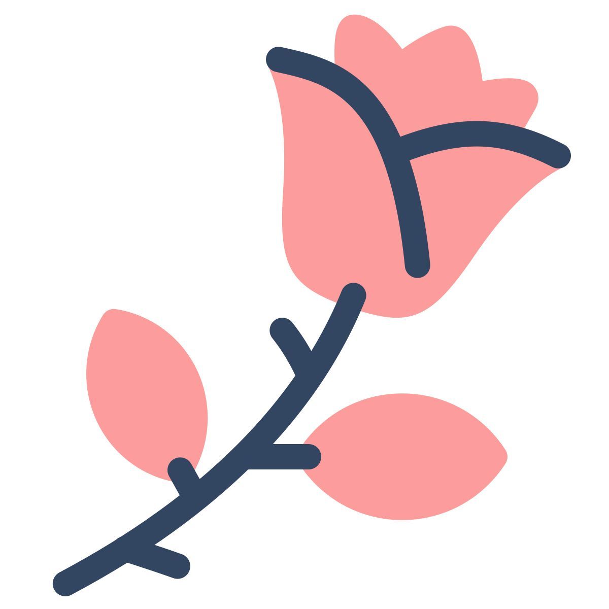 parakeet color style rose icon