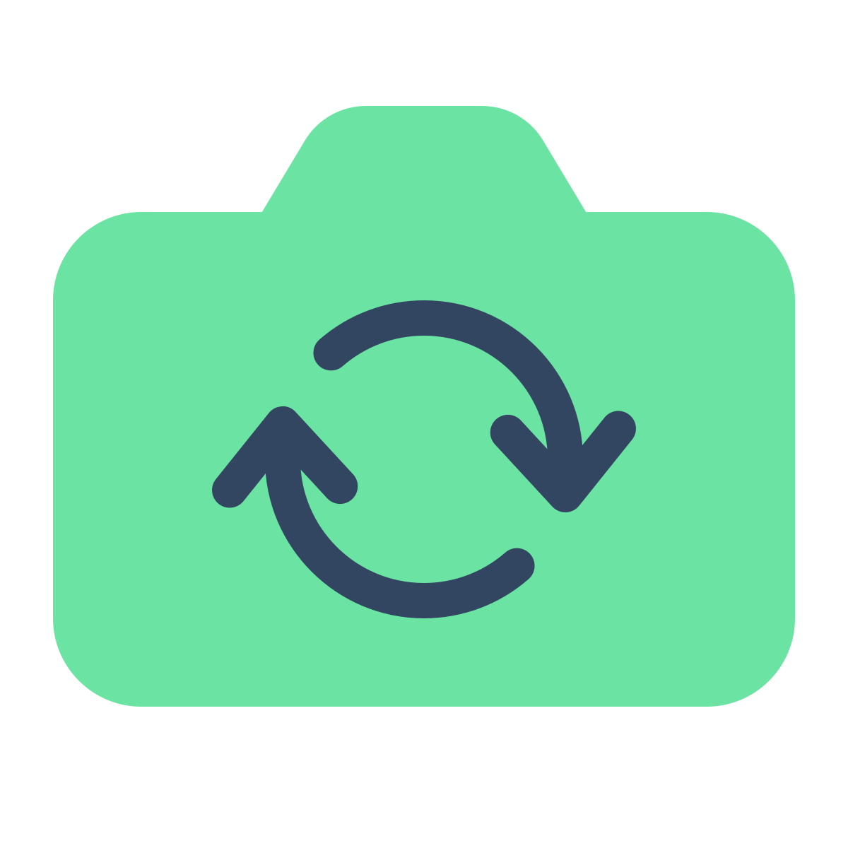 parakeet color style switch camera icon