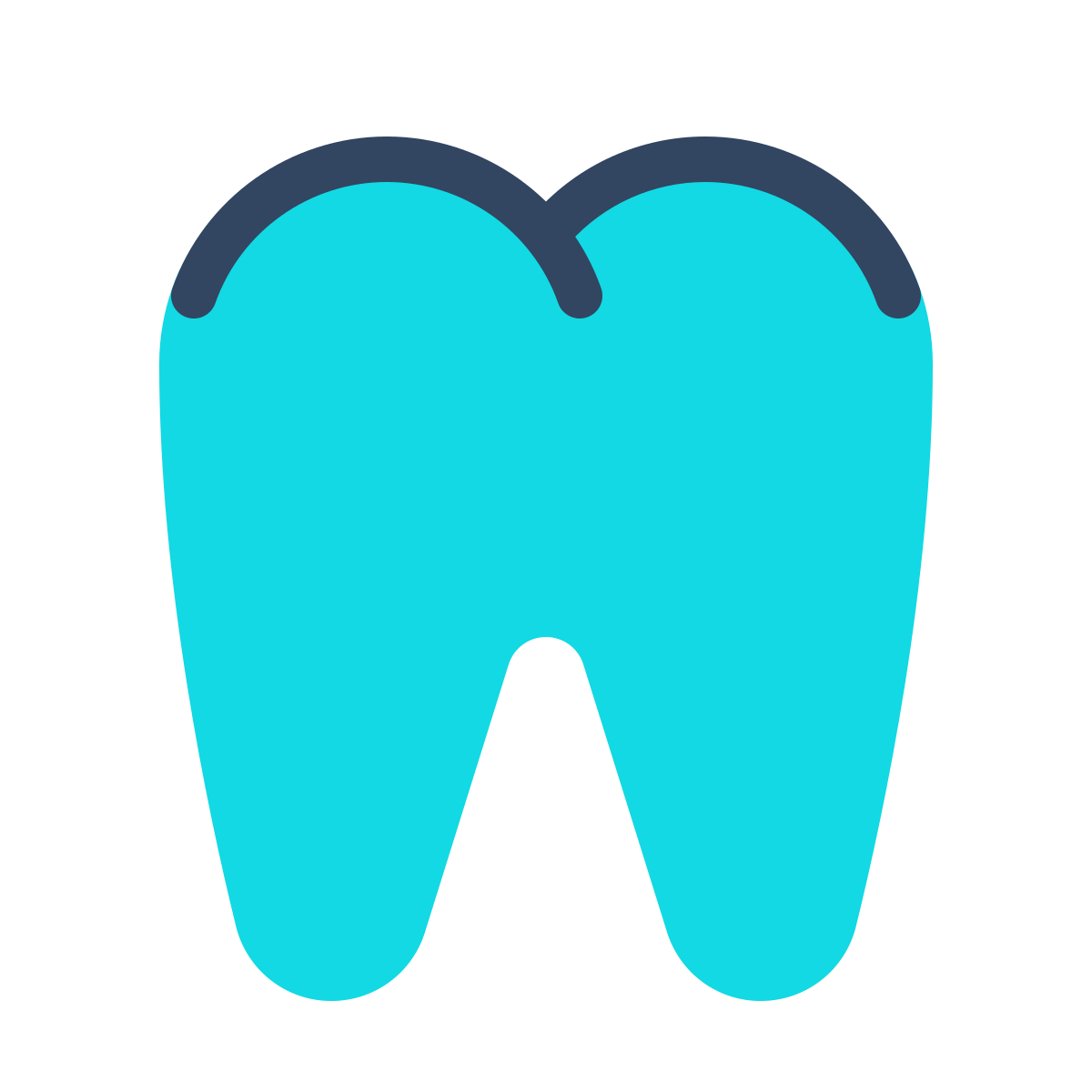 parakeet color style tooth icon