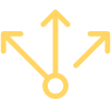 multiple-options
