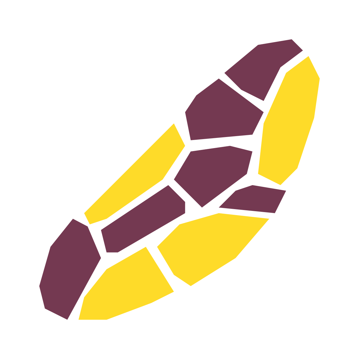 pieces style brazil nut icon