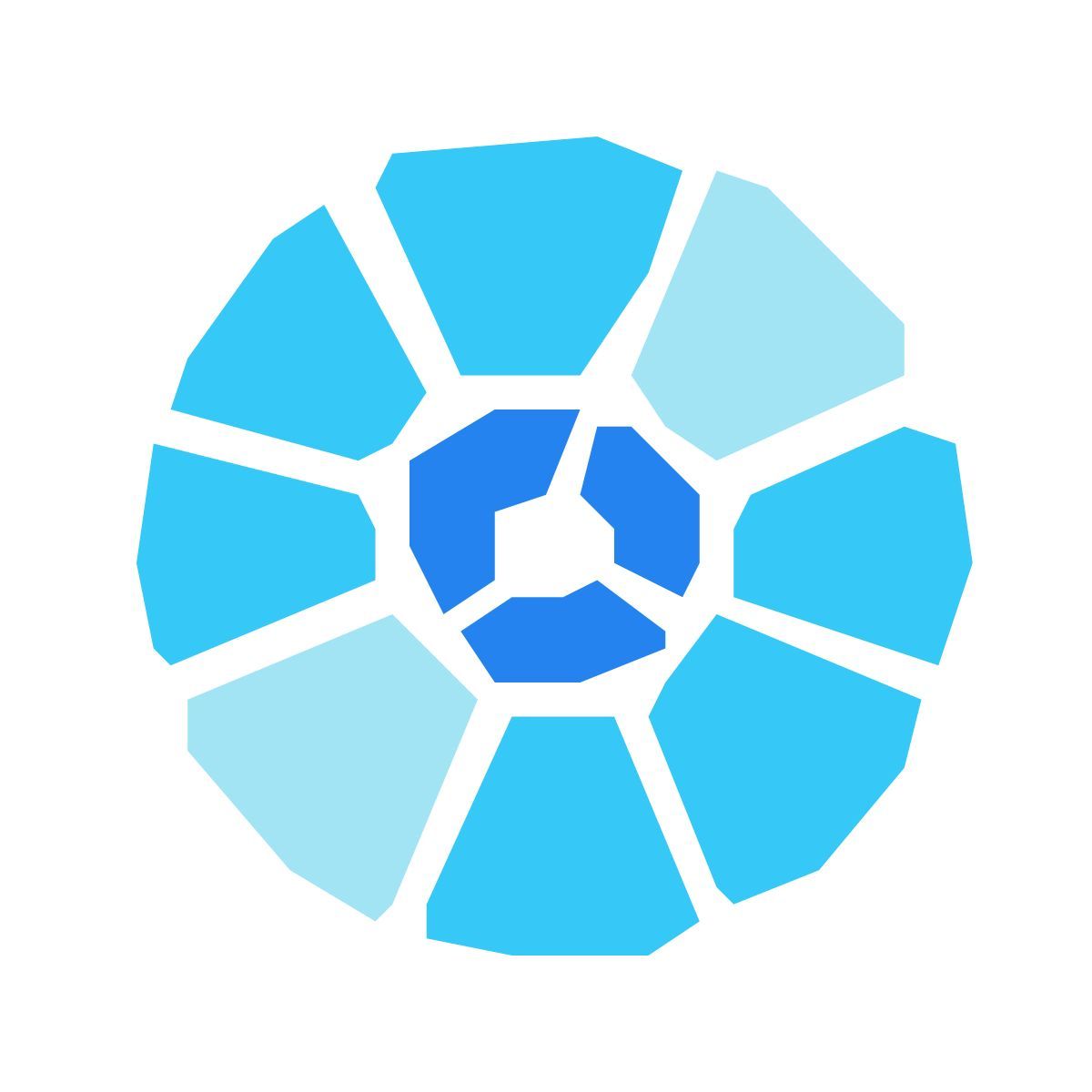 pieces style cd icon