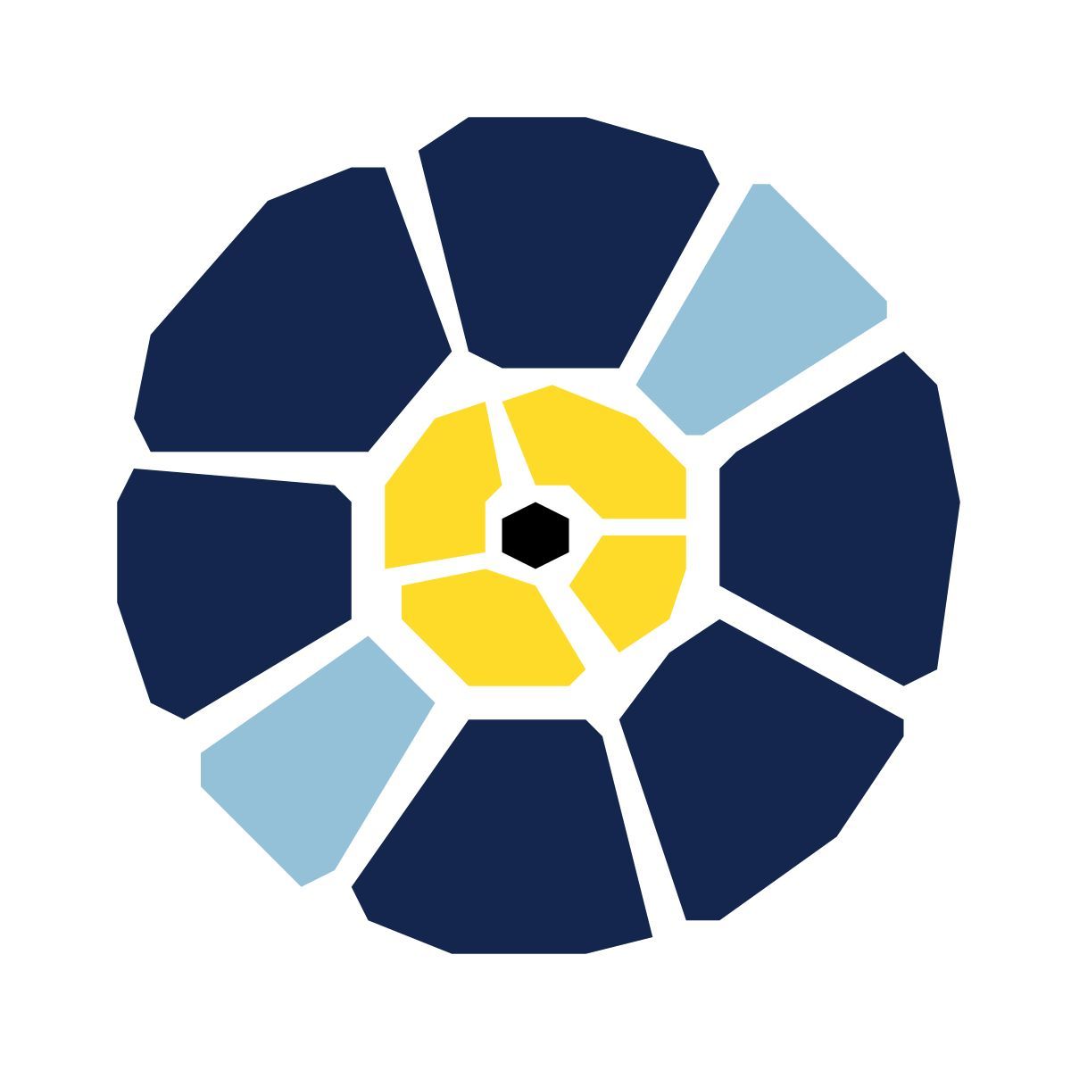 pieces style 음악 녹음 icon