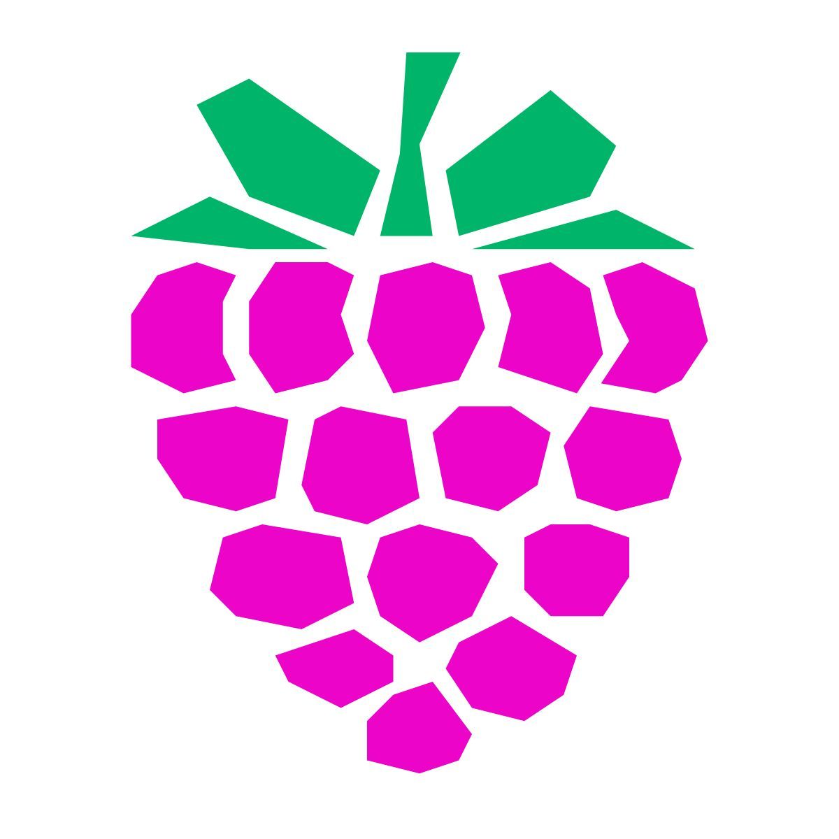 pieces style 산딸기 icon