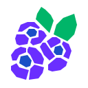 blueberry icon