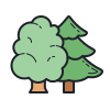 forest
