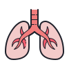 lungs