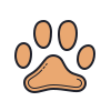 Cat Footprint icon