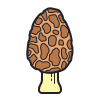 Morel Mushroom icon