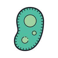 bacteria icon