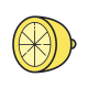 citrus icon