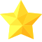 filled star icon