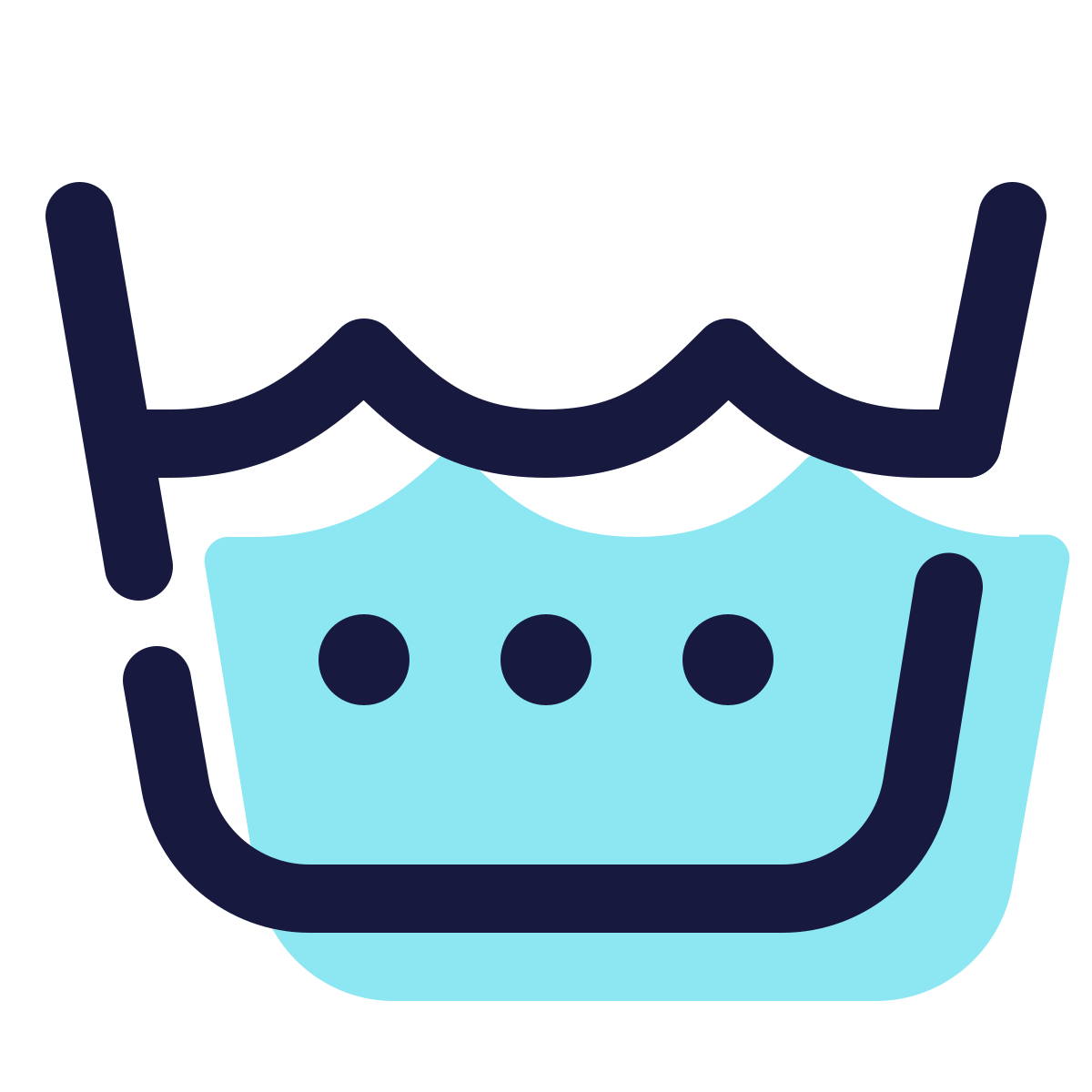 pulsar color style machine wash warm icon