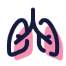 lungs icon