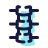spine 