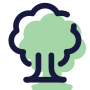 deciduous-tree