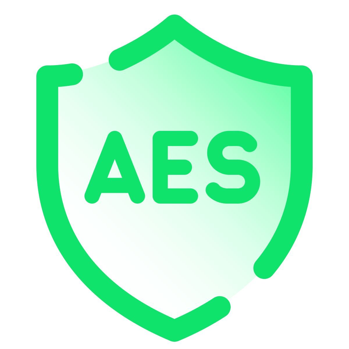 pulsar gradient style seguridad aes icon