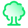 deciduous tree icon