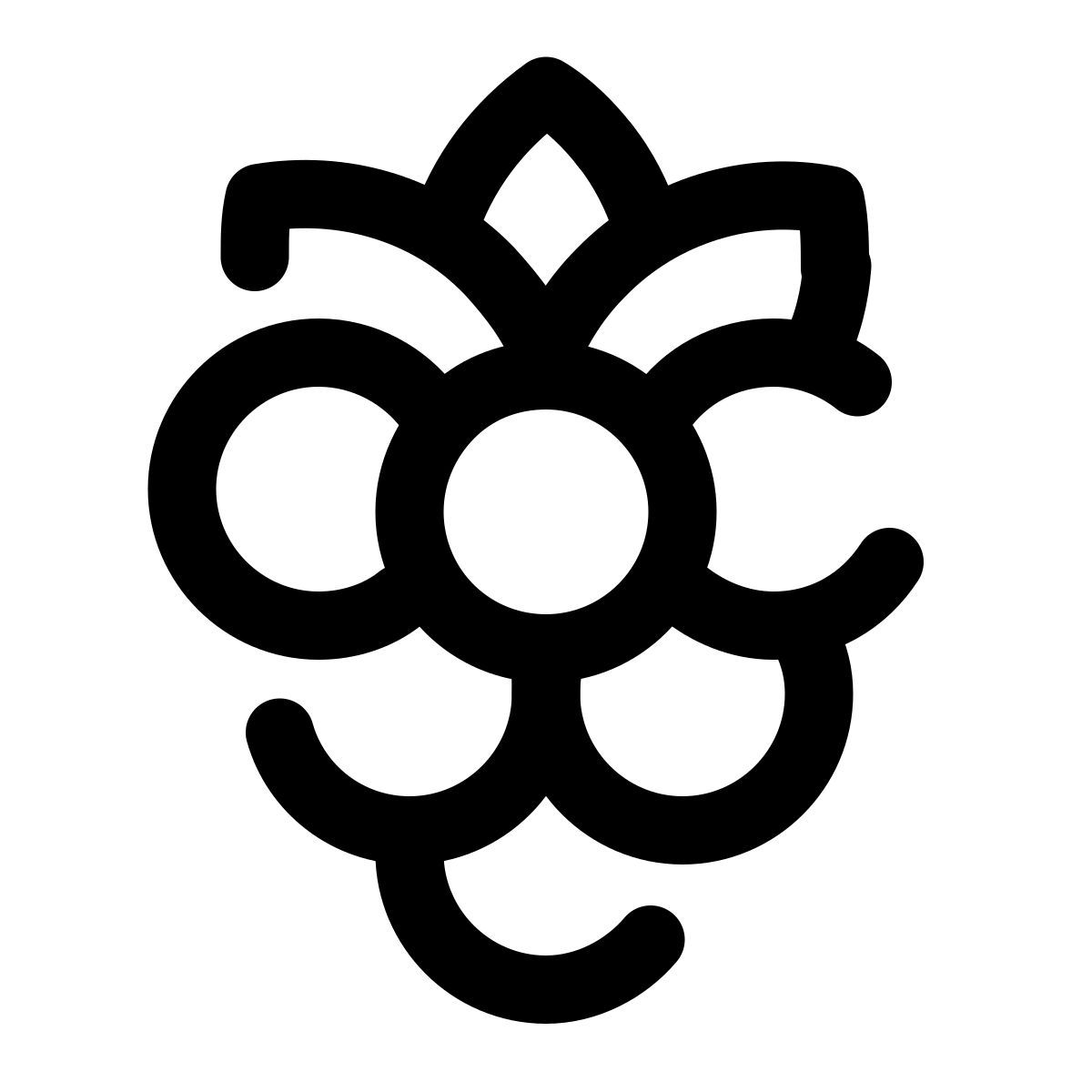 pulsar line style 산딸기 icon