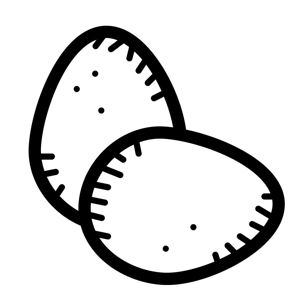 quill style eggs icon