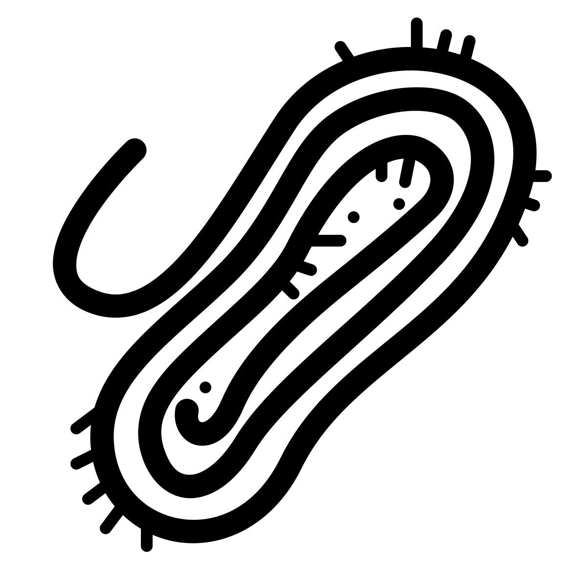 quill style 绳 icon