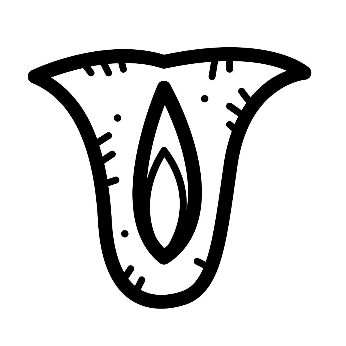 quill style 阴道 icon