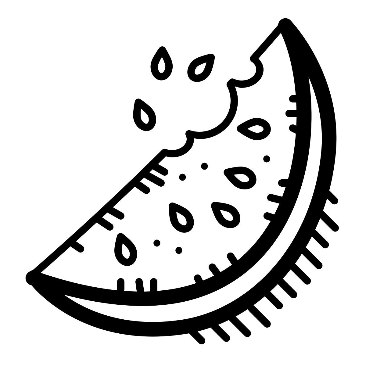 quill style watermelon icon