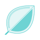 leaf icon