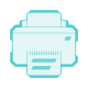 print icon