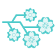 sakura icon