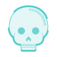 skull icon