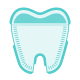 tooth icon