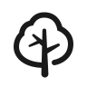 deciduous-tree