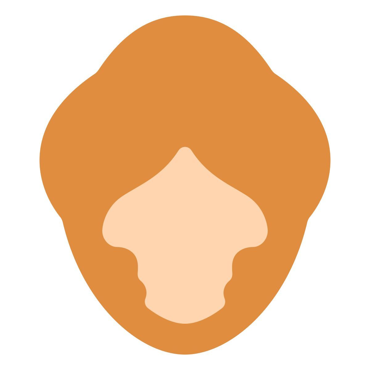 softteal color style nettoyage icon