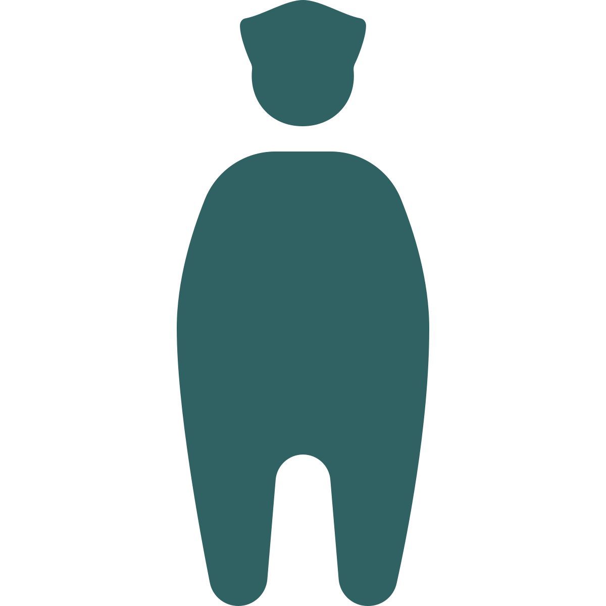 softteal style gros flic icon