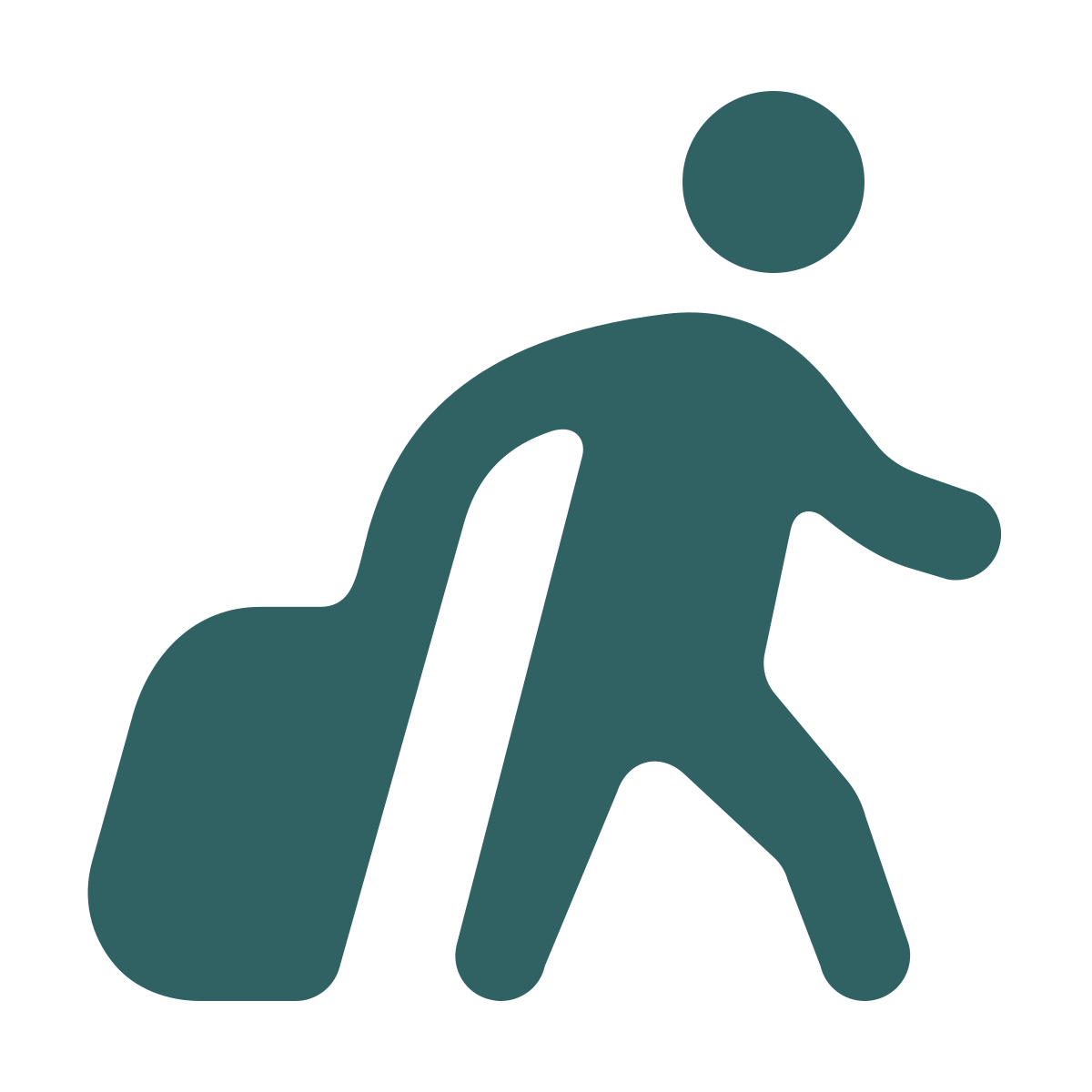 softteal style passenger with baggage icon