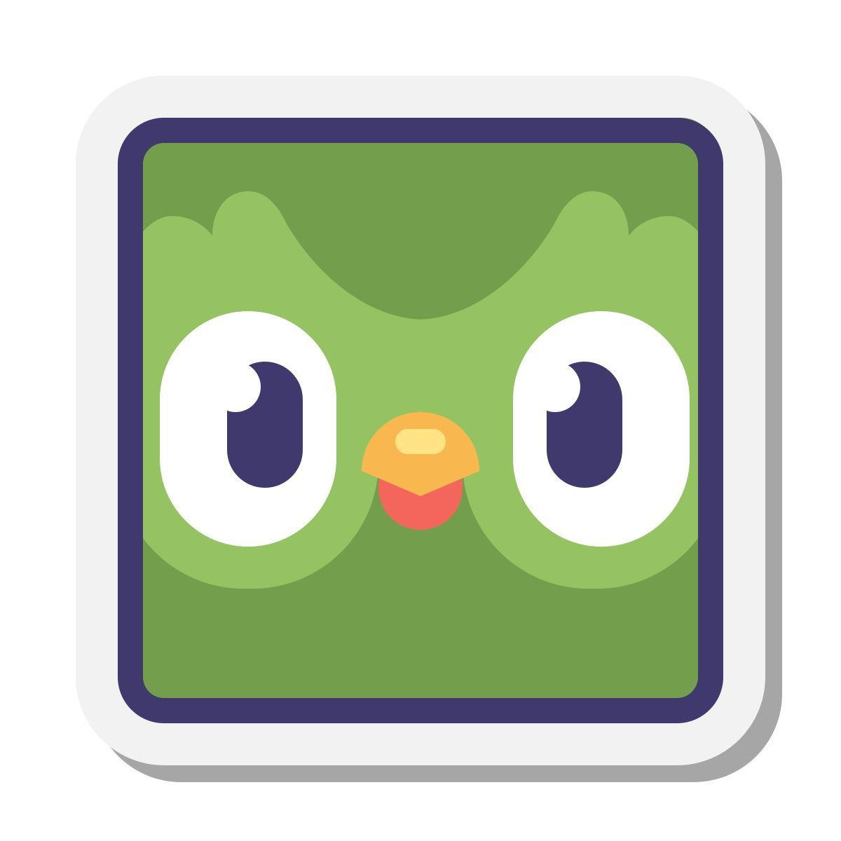 All Duolingo App Icons For Language Learning
