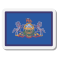 Pennsylvania Flag icon