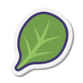 spinach icon