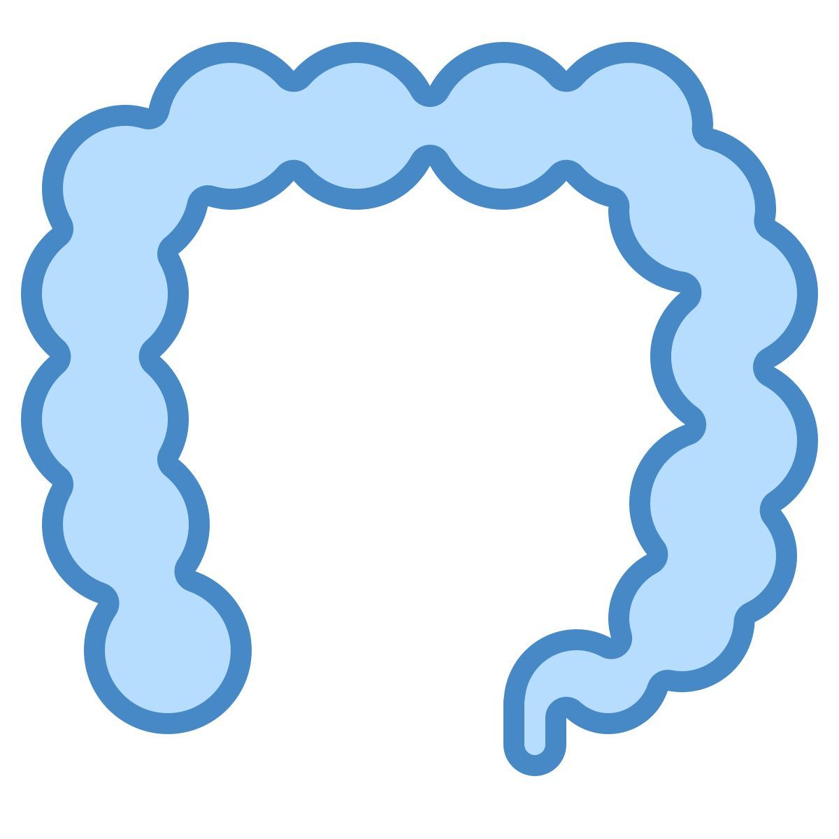 blue ui style anatomie icon