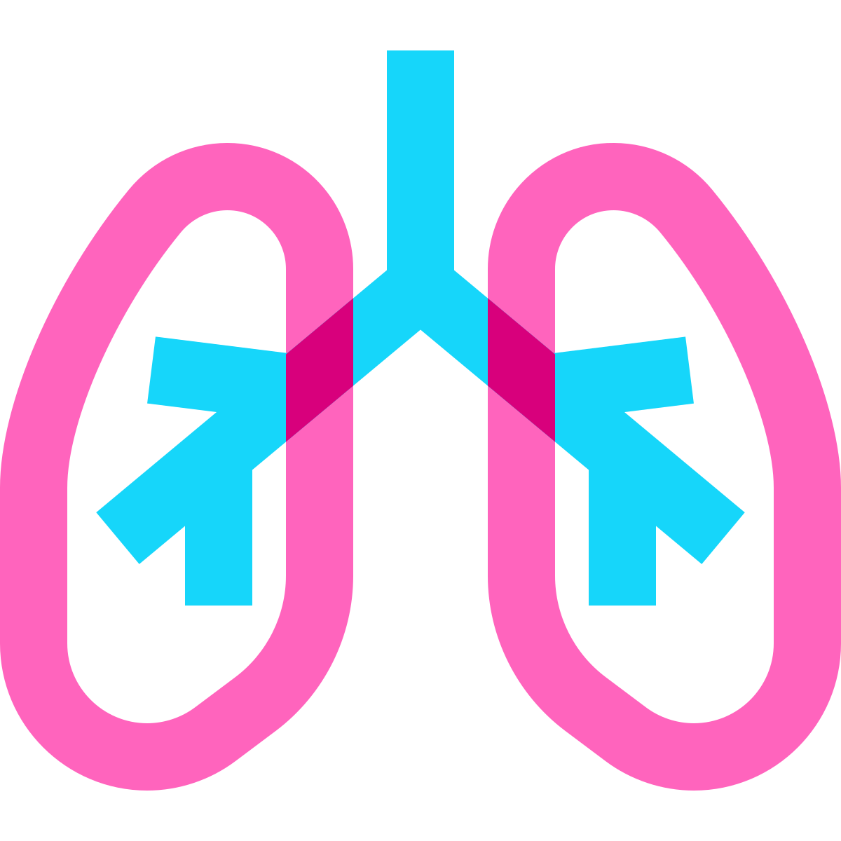 water color style lungs icon