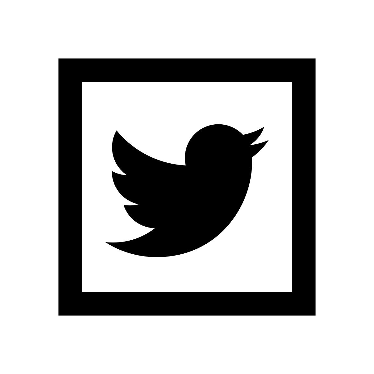 windows 10 style logo twitter encadré icon