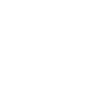 Amir Capital