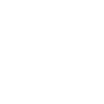 Description of the Image
