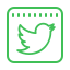 twitter-squared--v1